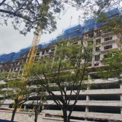 PALM HILL RESIDENCY 4